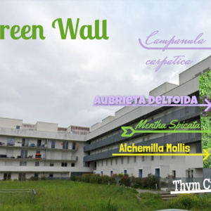 projet green wall
