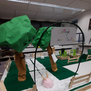 La Maquette du jardin