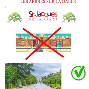 Des arbres sur la dalle