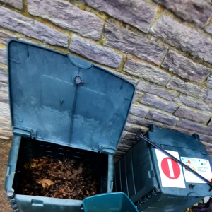 Inauguration du composteur avec des peaux de bananes et des trognons de pommes