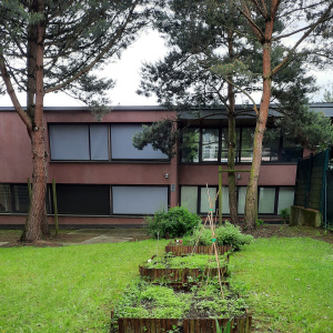 Les carrés potagers