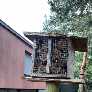 L'Hôtel à insectes