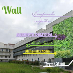projet green wall